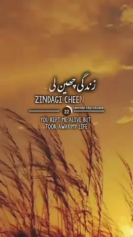 Zindagi Dene Wale Sun #poetrystatus #urduline #lyricsvideo #foryoupage #oldisgold 