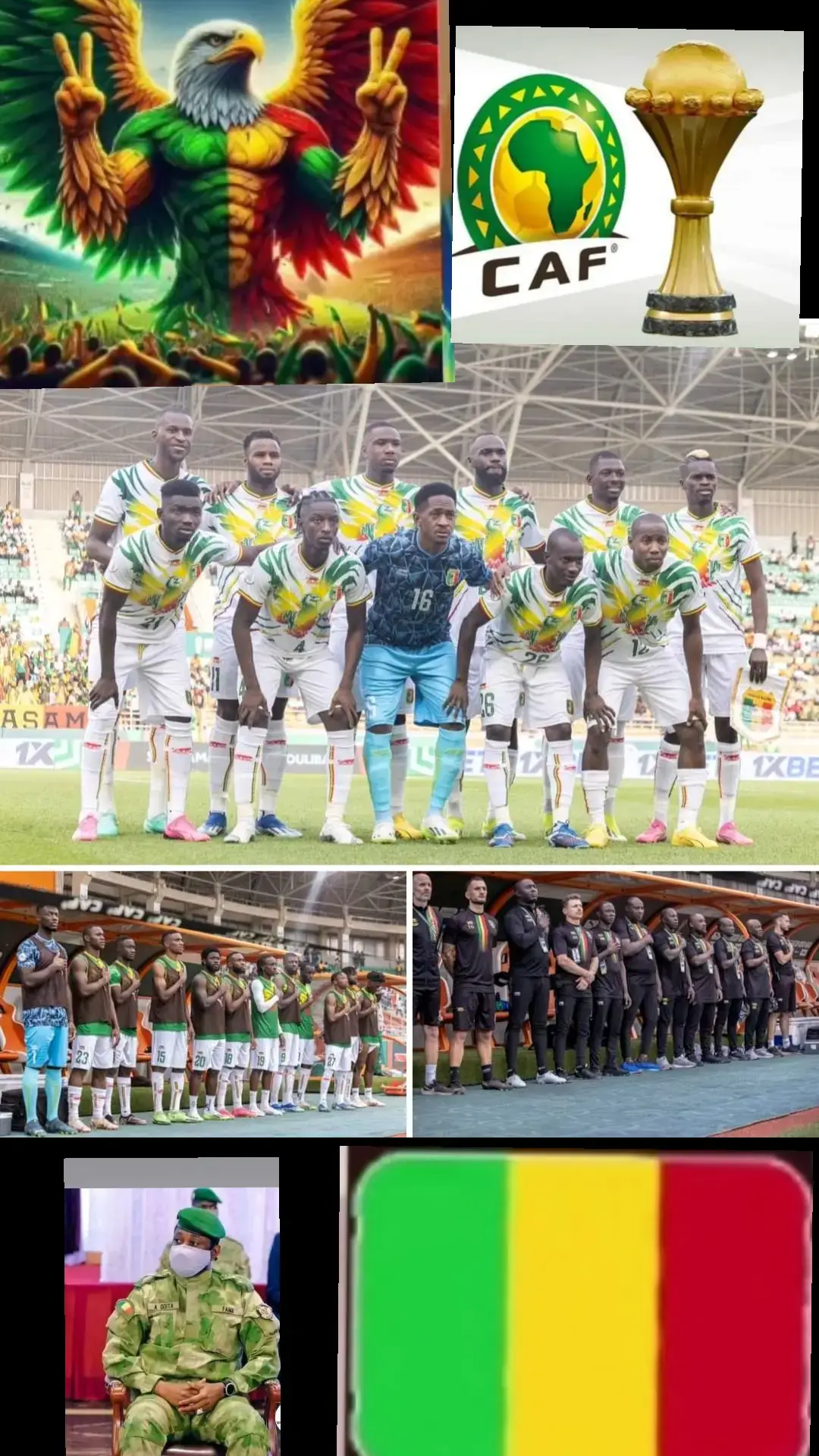 #tiktoksoninkara🇲🇱🇲🇷🇬🇲🇸🇳🇮🇪🇬🇳 #?✓✓✓ #Allé les Aigles du Mali 🇲🇱❤❤❤💪💪