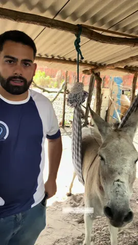 Vou fazer de tudo pra ele ficar bom #video #viral 