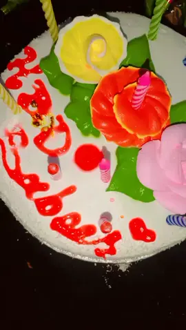 happy birthday my dear brother 😘😍😍😍😍😍😍Allah pak meri jan kay naseeb achy kry or kamyab kry Ameen ☺😊😊