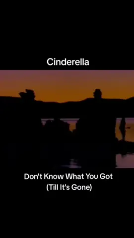 #cinderella#dontknowwhatyougot