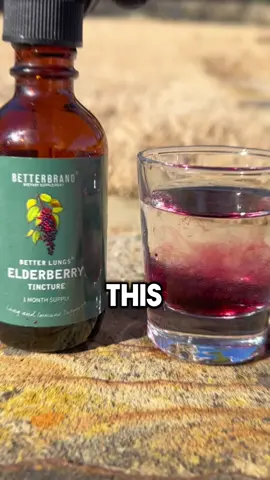 Elderberry is NATURAL HEALING ❤️🌿 #elderberry #supplements 