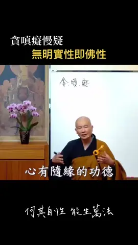 #貪嗔痴慢疑 #佛性 #永嘉大師 #自性 