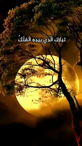 تبارك الذي بيده الملك  #قران #القران_الكريم #سورة_الملك  #صباحيات #تلاوة_بصوت_جميل #حالات #منوعات_دينية #تصميمي #فيديوهاتي #اكسبلور  #fyb #foryou #tiktoklong 