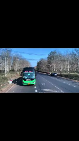 Rộn ràng những ngày cuối năm #xekhachvietnam #capcut #xuhuong #tet2024 