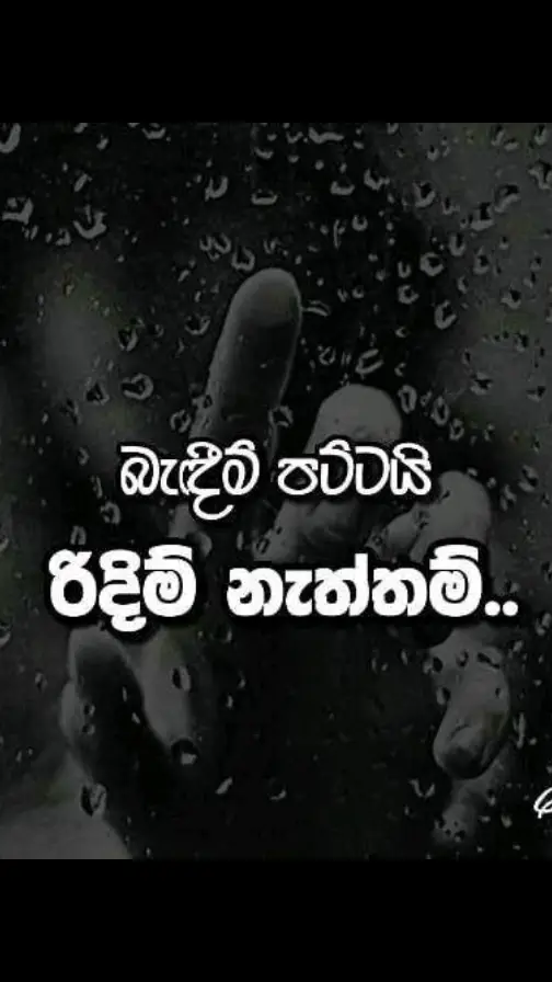 #srilankantiktok_නුවර_අහස_යට🌹 #sinhalatiktok #viral #yrp #❤️❤️❤️🌹🌹🌹 #🥰🥰🥰🥰❤️❤️❤️ ##🥺 