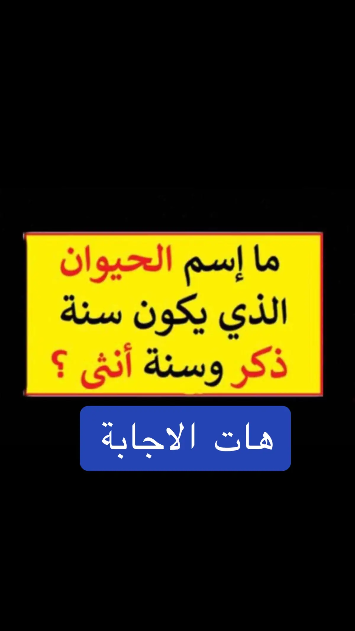 #سؤال #الاذكياء #اكسبلور #سؤال_جواب #المزاج_العالي👌🎵 #وناسه #السعودية 