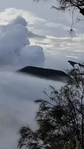 bye bye Bromo ... mari kita pulang #bromo #pulang #malang 