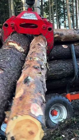 🪵 #hoiz #hoizmocha #hoizer #holzarbeiten #holztransport #rückewagen #holzrücken #forst #forestry #forstwirtschaft #forestrywork #wald #waldarbeit #stihl #husqvarna #chainsaw #kettensäge #motorsäge #trend #girlspower #johndeere #schlepper #johndeerearmy #schlepperarmy #schlepperfahren 