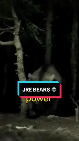 Joe “Did You See The Grizzly Bear I Posted On My Instagram” Rogan 👽 #FYP #KAMMIE #JRE #VIRAL #KAMMIECHRISTO 
