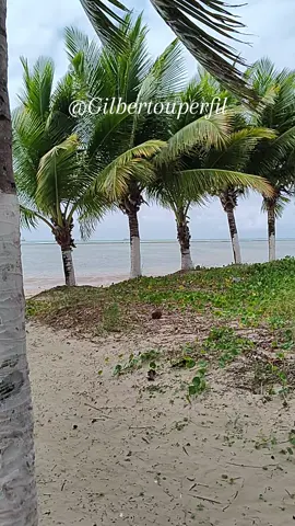 #giliard #naodiganada #ilhadeitaparica 