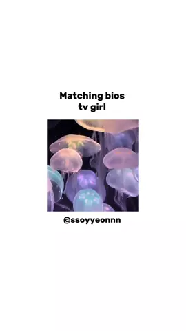 #matchingbios #tvgirl #soyeon #xyzbca #fyp #foryou #loversrock #jellyfish 