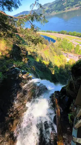 Top of Multnomah Falls #pacificnorthwest #pnw #naturelovers #foryourpage #oregon #fyp #sunnyday #nature #waterfalls #waterfall #roadtrip #multnomah #multnomahfalls #Hiking #visit 