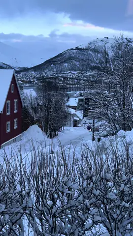 Windows View today 🤩 Tromsø 🇳🇴 . . . . #view #windows #tromsø #bridge #lover #norway #noruega #tiktok #sundaybest #tromsø_norge #snowman #wintervibes 