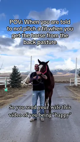 Did he win? #horse #horsesoftiktok #fyp #quarterhorse #equestrian #equestrianlife #horsesontiktok #barnlifeisthebestlife #rainyday #husbandwife #husbandsbelike #marriedlifebelike 