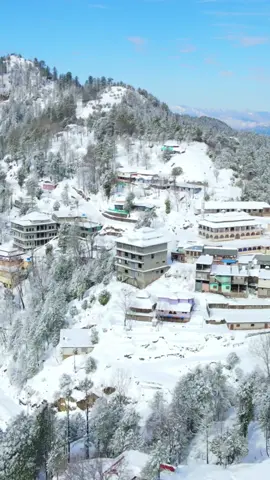 SnowFall in Toli Peer Rawalakot Azad Kashmir🍁❄️☃️💦🌊 #ibrahimrafay #standwithkashmir #fyp #kashmirwithstand #snow #snowfall #snowfallinkashmir #snowinkashmir #snowfallinkashmir2024 #snowfalling🥶🌧 #snowfall2024 #tolipeer #foryou #tolipeer_trip #tolipeer_kashmir #ajk #tolipeerazadkashmir #tolipeersnowfall #tolipeersnowfall2024 #kashmirsnow #tolipeerrawlakot #rawalakotsnowfall #tolipeerrawalakotsnowfall #trending #kashmirsnowfall  