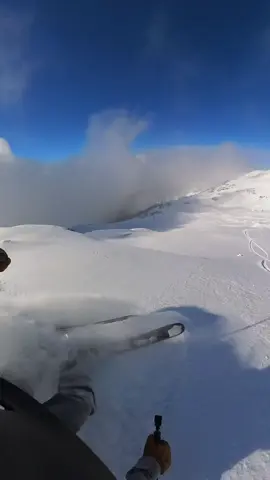 What were y’all saying about the pineapple express? Whistler High Alpine survived the swamp. 