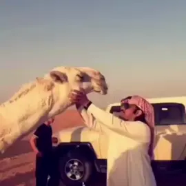 #اكسبلور #fyp 