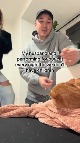 Week night activities #dink #catparents 