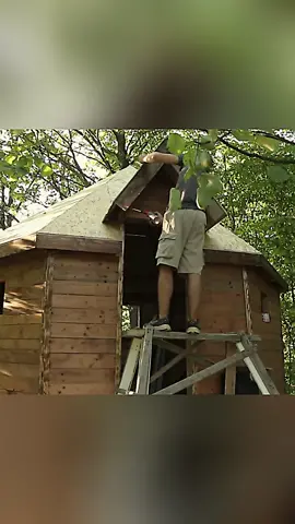 Built a house in the forest p2 #bushcraftsurvival #bushcrafttrip #camp #outdoor #building #campinglife #usa #fyp #foryou 