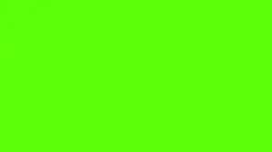 35 Photo green screen slide #35slidephoto #fyp #fyppppppppppppppppppppppp #viraltiktok 
