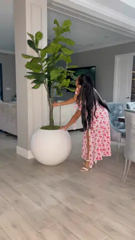 Here is a simple way to elevate your Home plants 🌱  These Battery operated led lights are a great option for color and depth #hacks  . LED light @amazonhome  . Write PLANTER for all the links 🔗 🌳 . #planter #amazonfinds #amazonhome  #asmr #fauxplants #howtostyle #homedecor 