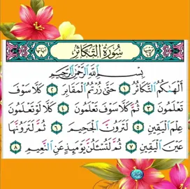 #سورة التكاثر