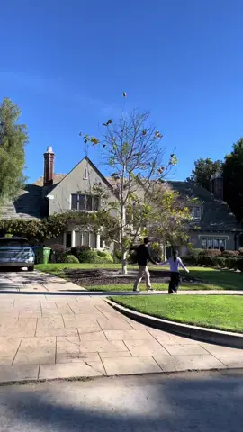 People enjoying a walk in one of the most beautiful, peaceful, and cleanest #neighborshoods in #losangeles . #windsorsquare #california #houses #homes #housesoftiktok #homesoftiktok 
