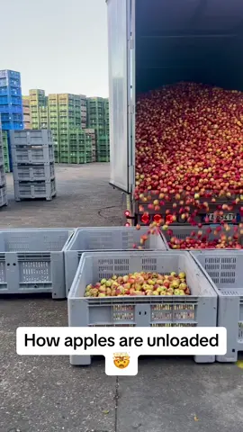 No wonder my apple is always bruised🤨 Pubity (Pietro Sanino via ViralHog)