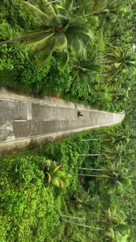 WATCH: Siargao's coconut tree-lined road from above. 😉 📍Siargao, Philippines 📸 @walkerlust on IG