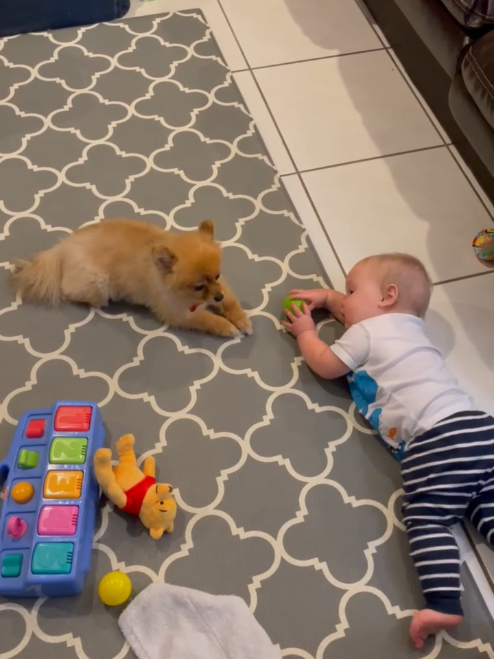 Baby and puppy #funnybaby #babyfunny #babyvideo #babyanddog #babies #babiestiktok #babylaugh #babycute