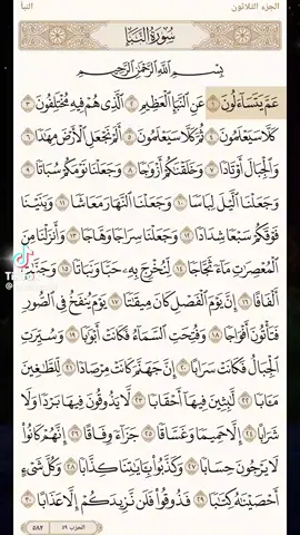 سورة النبإ كاملة