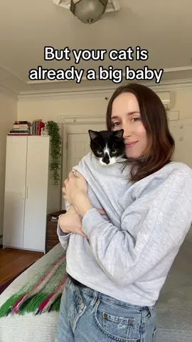 #catsoftiktok #childfree #dink #fyp #cute #cats 