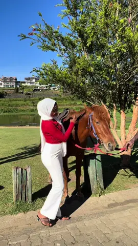 Horseback highlands! 🐎 #nuwaraeliya #nuwara_eliya_sri_lanka #lanka #srilanka🇱🇰 #horse #horseride #riding #mountain #horseback #highlands #travelling #fypシ゚viral #vlogs #fypppppp #🍃 #viral #tiktok #video #pic #experience #m #n #🐎🐎🐎 #maldivian 