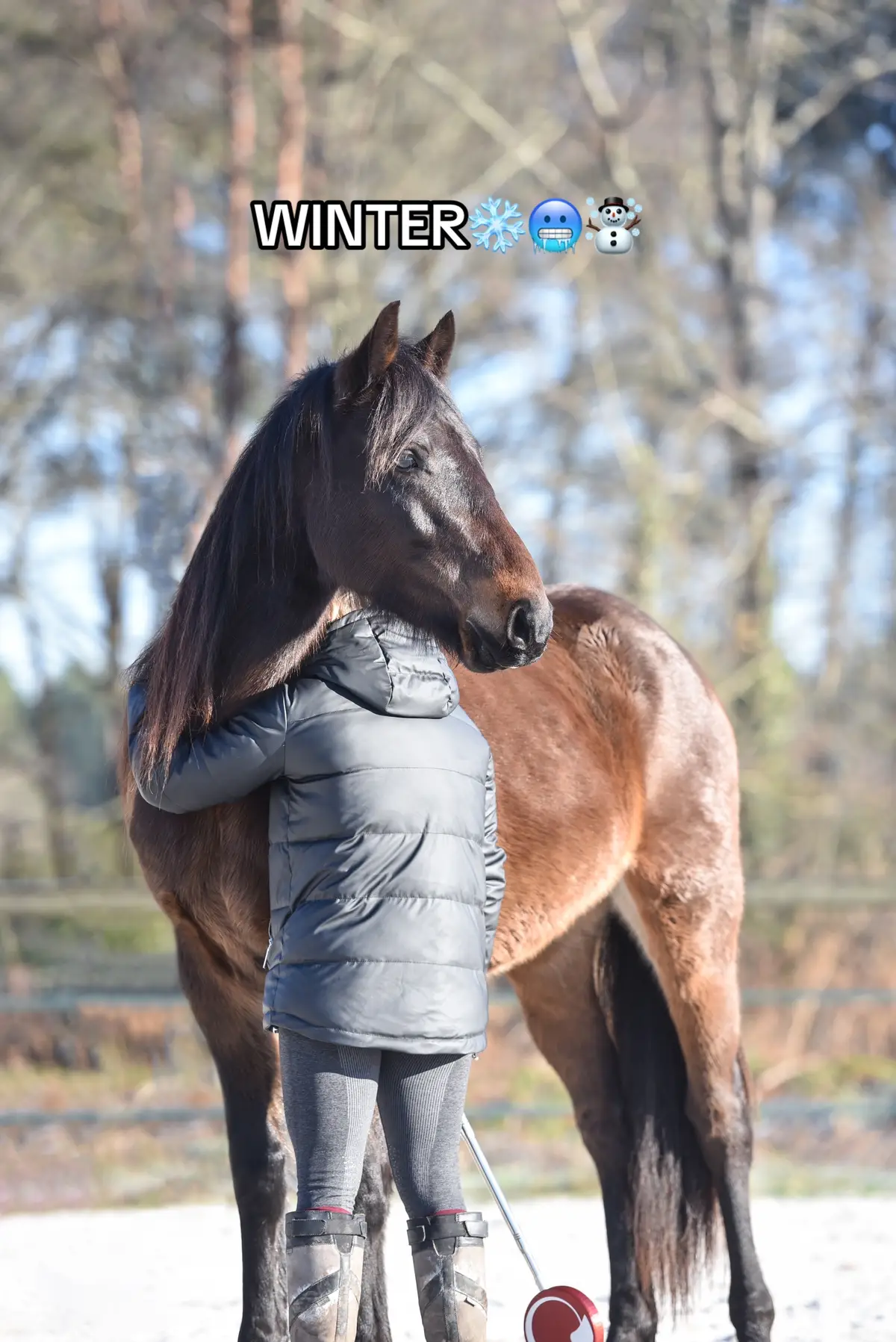 Mais qui est aussi beau en été qu’en hiver déjà ? #cavaliere #horse #cheval #poulain #equestrian #llucifer 