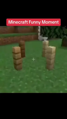 minecraft funny moment #foryou #Minecraft #funnyminecraft #funnymoment #funny 