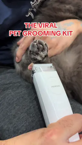 #neakasa #catgrooming 