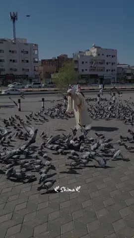 #CapCut #يارسول_الله❤🥀 #تامر_حسني #اللهم_صلي_على_نبينا_محمد #ليله_الاسراء_والمعراج🌹👑 #🕊️ #اكسبلور #foryou #egypt #مصر #سعوديه🇸🇦 #حبيبى_يا_رسول_الله  @🕊🤍 Shimaa 🕊🤍  @🕊🤍 Shimaa 🕊🤍 #🤍🤍🤍 