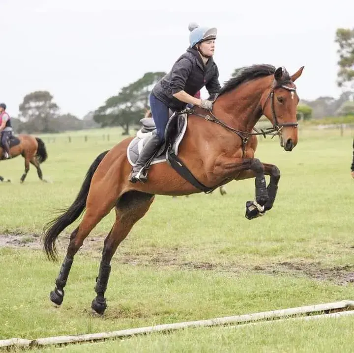 my stay at the Alfred trauma ward a few years ago wasn't the most fun place to be but it is what it issssss #equestrian #horsesoftiktok #pony #breaker #coltstarter #horsetraining #horsetrainer #horses 