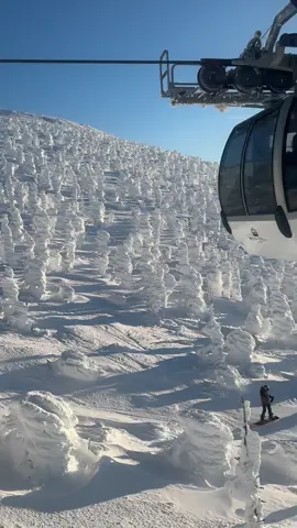 Zao Snow Monsters ❄️ Zao Ropeway 📍Yamagata #zaosnowmonsters #zaoropeway #山形 #yamagata #winter #japan #山形県 #ropeway #fyp #foryou 