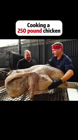 Cooking a 250 pound chicken#fyp #foryou #tictok #food #chicken 
