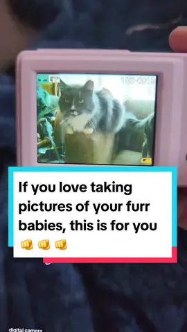 This digital camera is a must have for all pet pawrents ❤️ @B.Yourself.Always  #tiktokshopsales #tiktokshopdeals #valentinedaygift #valentinesday2024 #mydogismyvalentine #mycatismyvalentine #digitalcamera #cheapdigitalcamera 