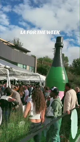 Late to the Grammys  🏆#grammyweek #grammys24 #LA #fyp 