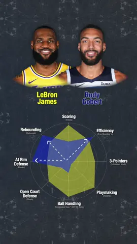 Player Stats by Category (Part 2) #NBA #basketball #nbabasketball #hoops #sports #sport #lebron #lebronjames #jokic #fantasysports #sportsbetting 
