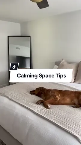 Replying to @Ally Here are 5 tips for creating a calming space! Share with us your best home hack! 🙌✨ #minimalism #minimalistichome #declutter #organization #homespace #homedecortips #creatingmydreamhome 