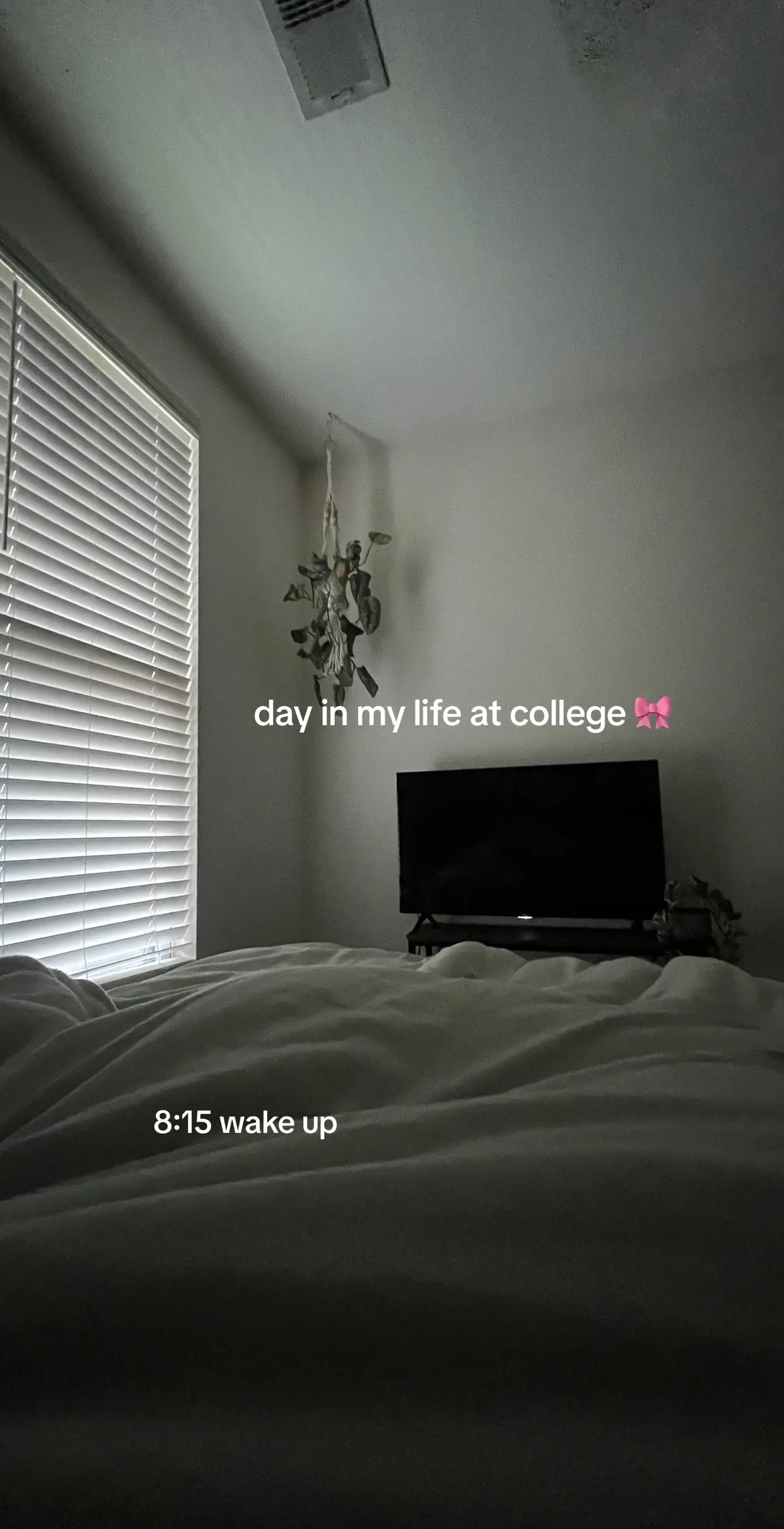 day in my life at FSU #fsu #college #Vlog #diml #fsutiktok 