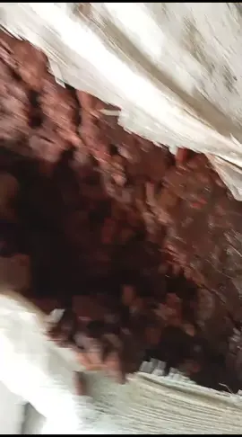 The Quality Checking Process of Tamarind #tamarind #checking #kualitaspremium👍🥰 