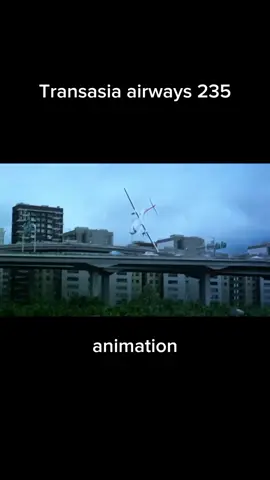 animation vs real life #fyp #plane #transasia235 #nationalairlinesflight102 #flydubai981 #americanairlines11 #planecrashes #CapCut 