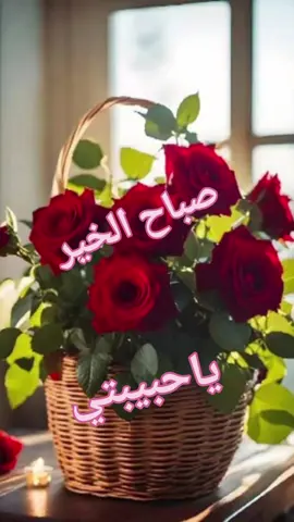 صباح الخير بحبيبتي  # دعاء ليك  # اللهم آمين ياربي العالمين  ❤️❤️❤️❤️❤️❤️❤️❤️❤️❤️
