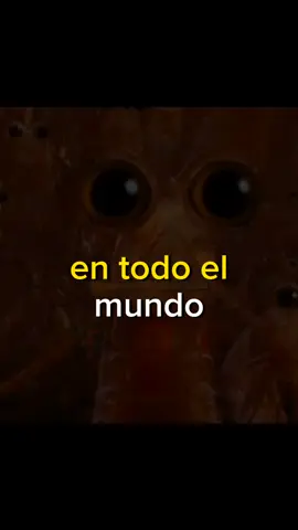 #unicoenelmundo  #quieroserlibre  #ivancali 